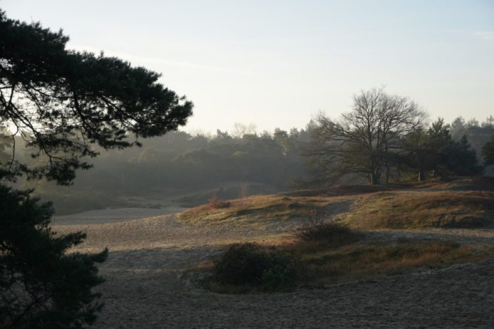 Soest - korte duinen