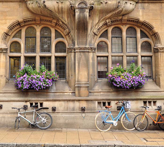 Ramen en deuren - Oxford