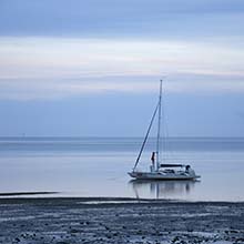 Waddenzee
haiku’s over de Wadden