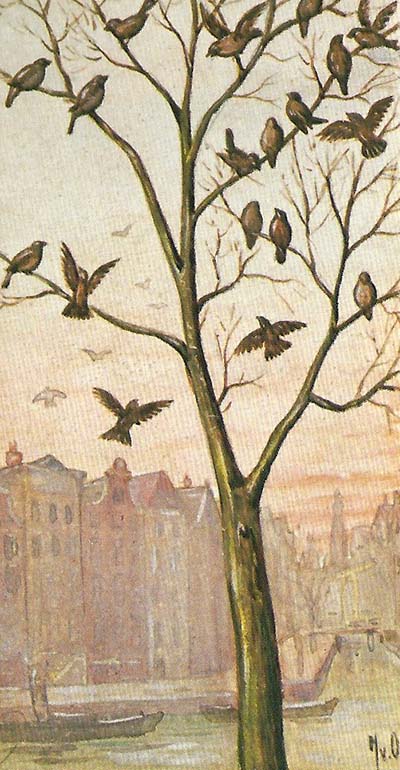 Huismus – Passer domesticus